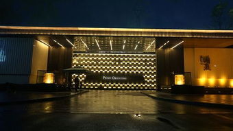 重慶彈子石項目示范區(qū)照明工程設計